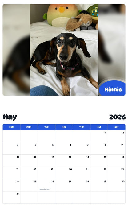 2026 - 2027 Minnie - Pawidols Pet Calendar
