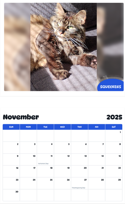 July 2025 - June 2026 Squeekers - Pawidols Pet Calendar