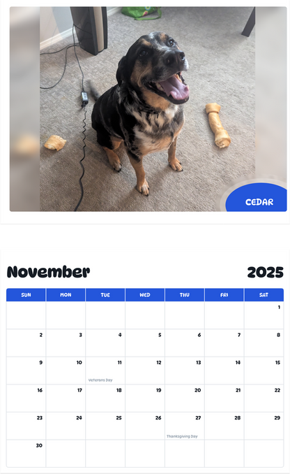 July 2025 - June 2026 Cedar - Pawidols Pet Calendar