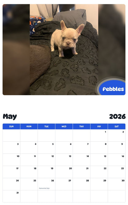 2026 - 2027 Pebbles - Pawidols Pet Calendar