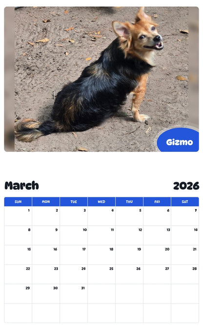 November 2025 - October 2026 Gizmo - Pawidols Pet Calendar