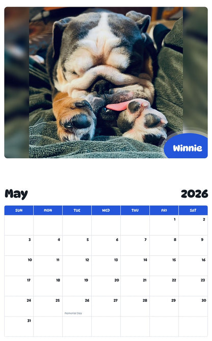 2026 - 2027 Winnie - Pawidols Pet Calendar