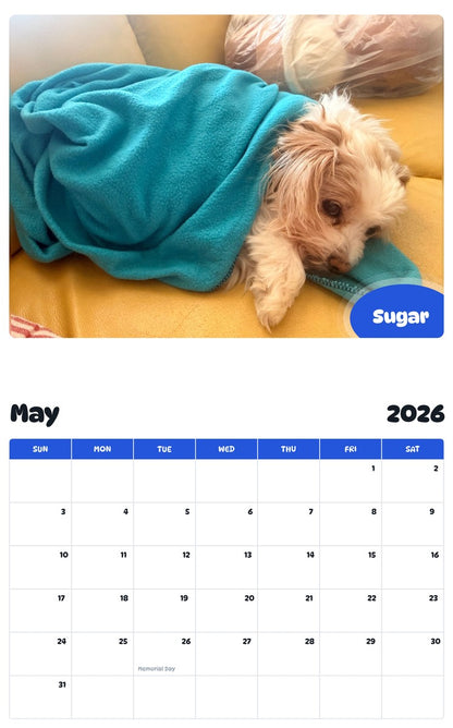 2026 - 2027 Sugar - Pawidols Pet Calendar