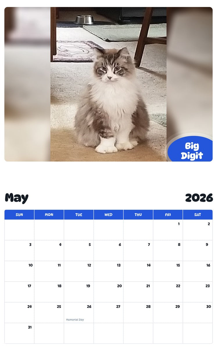 2026 - 2027 Big Digit - Pawidols Pet Calendar