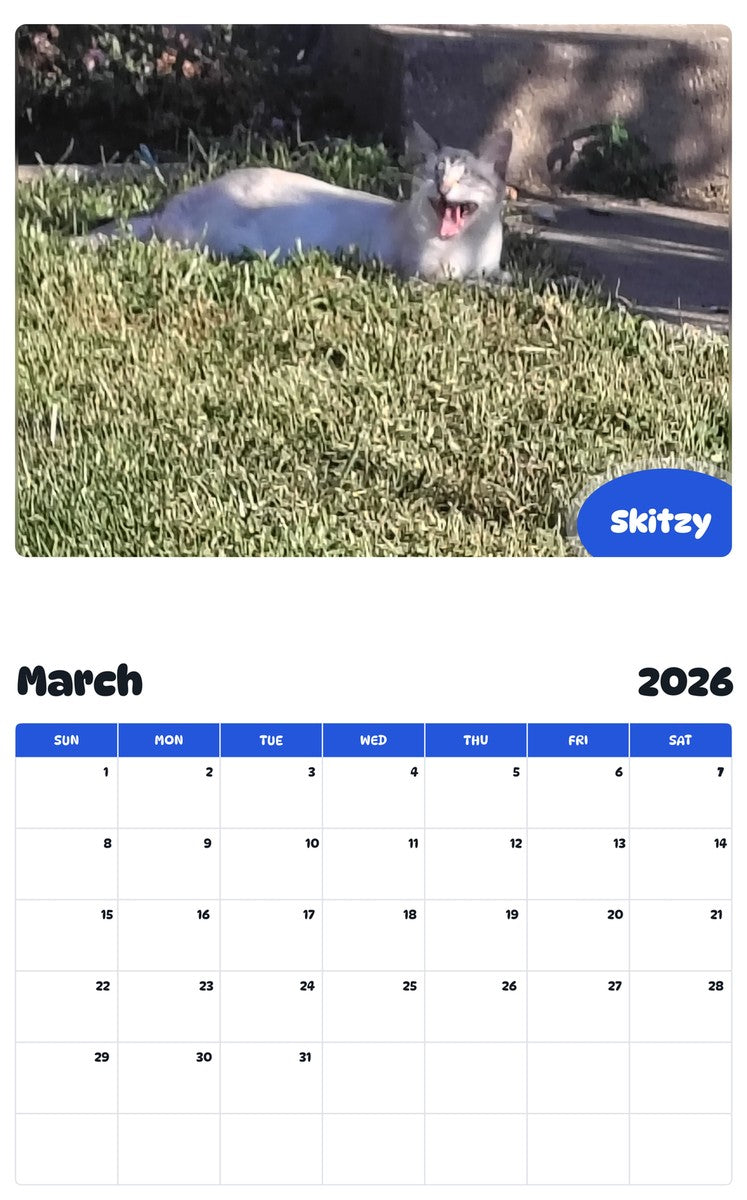 November 2025 - October 2026 Skitzy - Pawidols Pet Calendar