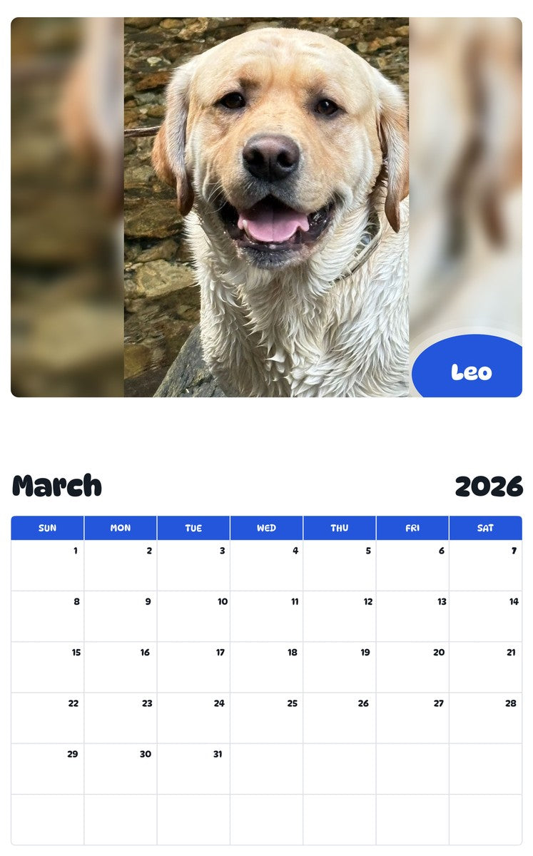 November 2025 - October 2026 Leo - Pawidols Pet Calendar