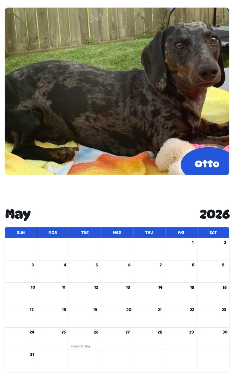 2026 - 2027 Otto - Pawidols Pet Calendar