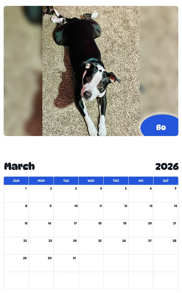 November 2025 - October 2026 Bo - Pawidols Pet Calendar