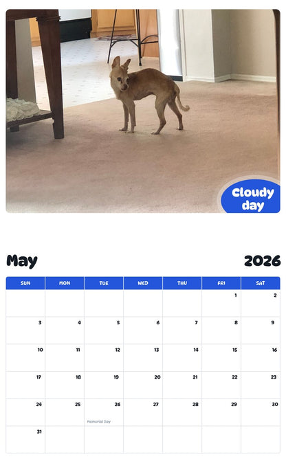 2026 - 2027 Cloudy day - Pawidols Pet Calendar