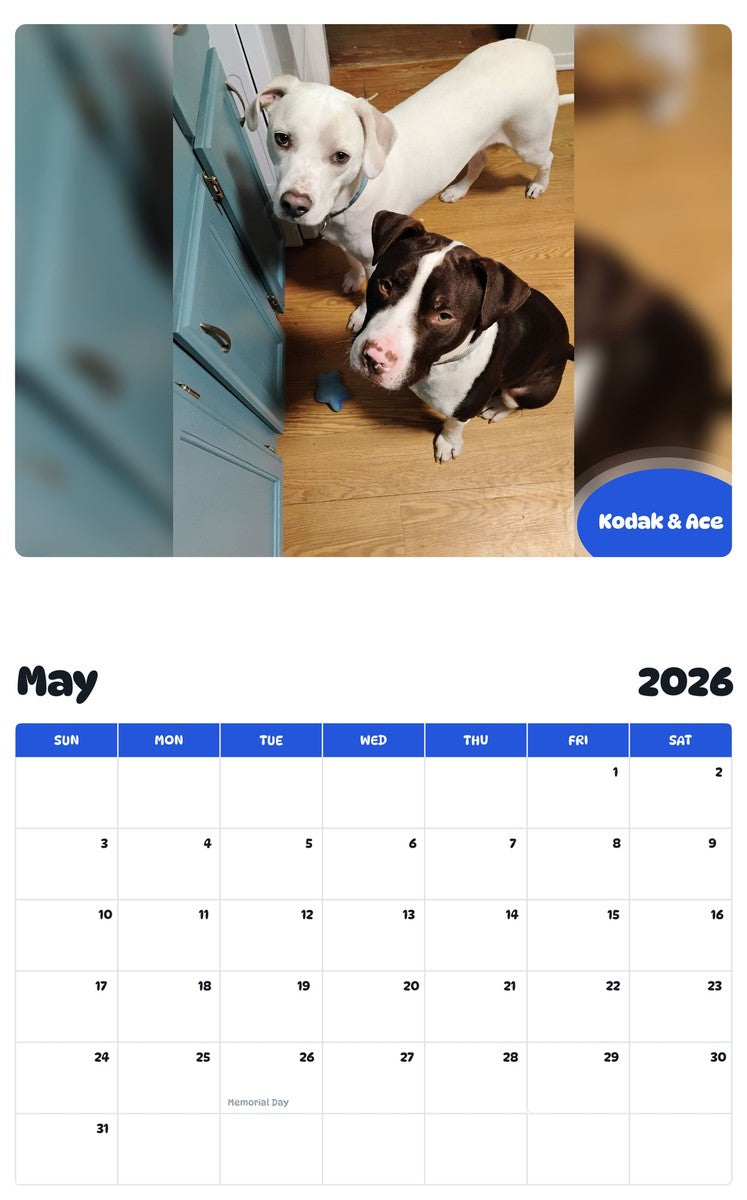 2026 - 2027 Kodak & Ace - Pawidols Pet Calendar