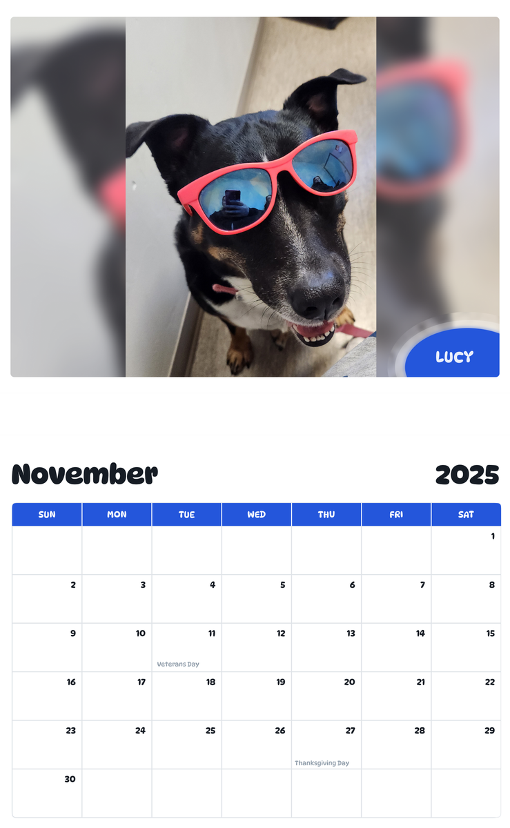 July 2025 - June 2026 Lucy - Pawidols Pet Calendar