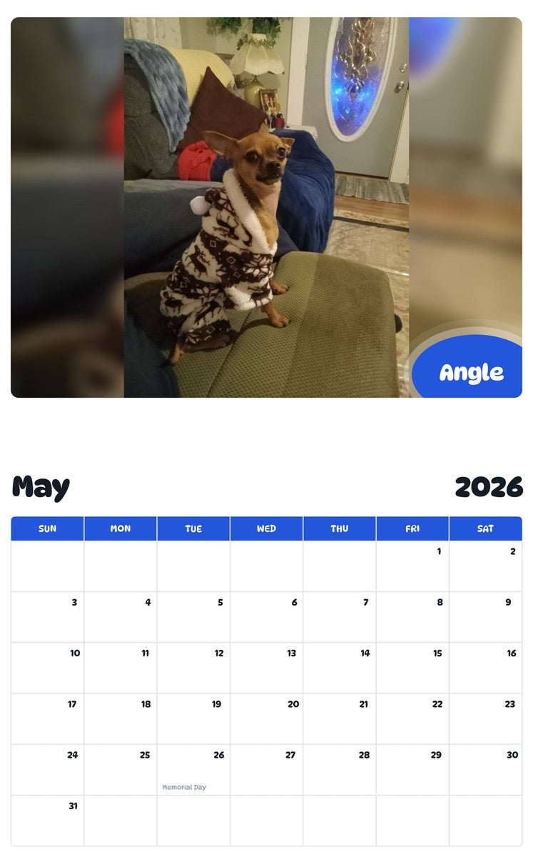 2026 - 2027 Angle - Pawidols Pet Calendar
