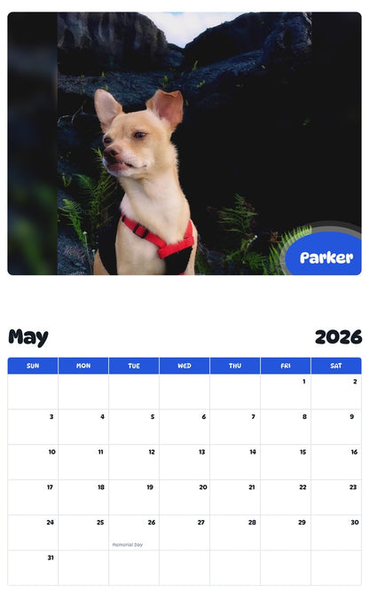 2026 - 2027 Parker - Pawidols Pet Calendar