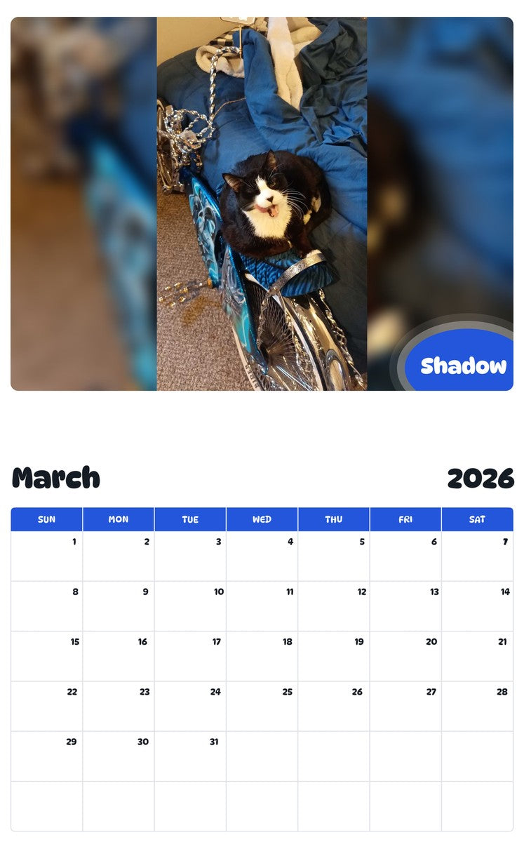 November 2025 - October 2026 Shadow - Pawidols Pet Calendar
