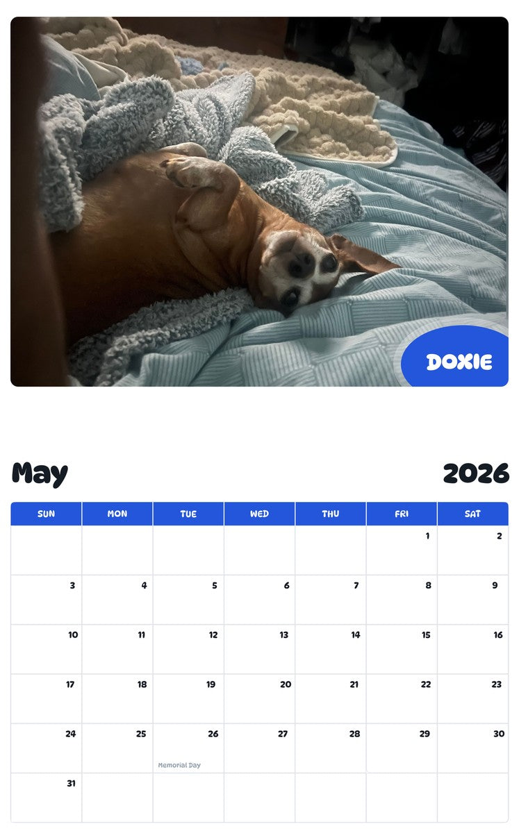 2026 - 2027 DOXIE - Pawidols Pet Calendar