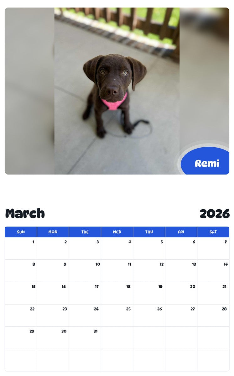 November 2025 - October 2026 Remi - Pawidols Pet Calendar
