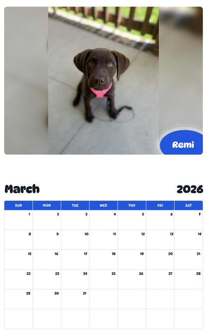 November 2025 - October 2026 Remi - Pawidols Pet Calendar