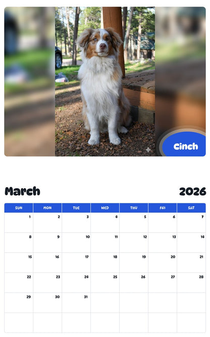 November 2025 - October 2026 Cinch - Pawidols Pet Calendar