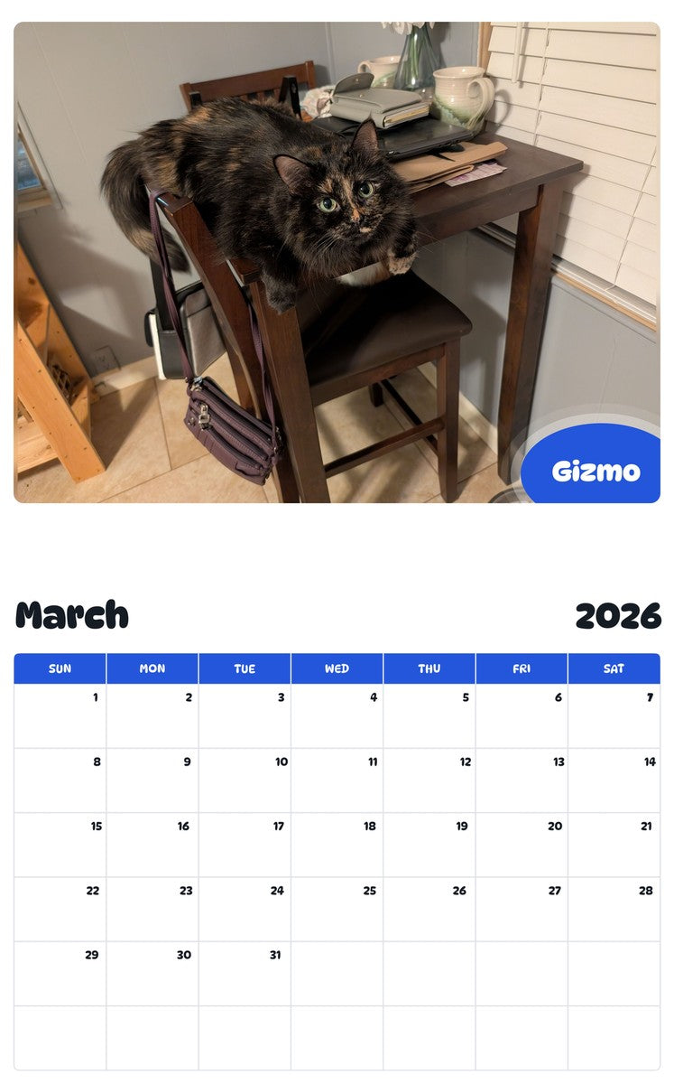 November 2025 - October 2026 Gizmo - Pawidols Pet Calendar
