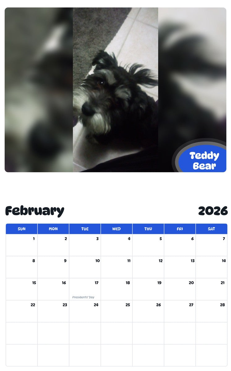 October 2025 - September 2026 Teddy Bear - Pawidols Pet Calendar