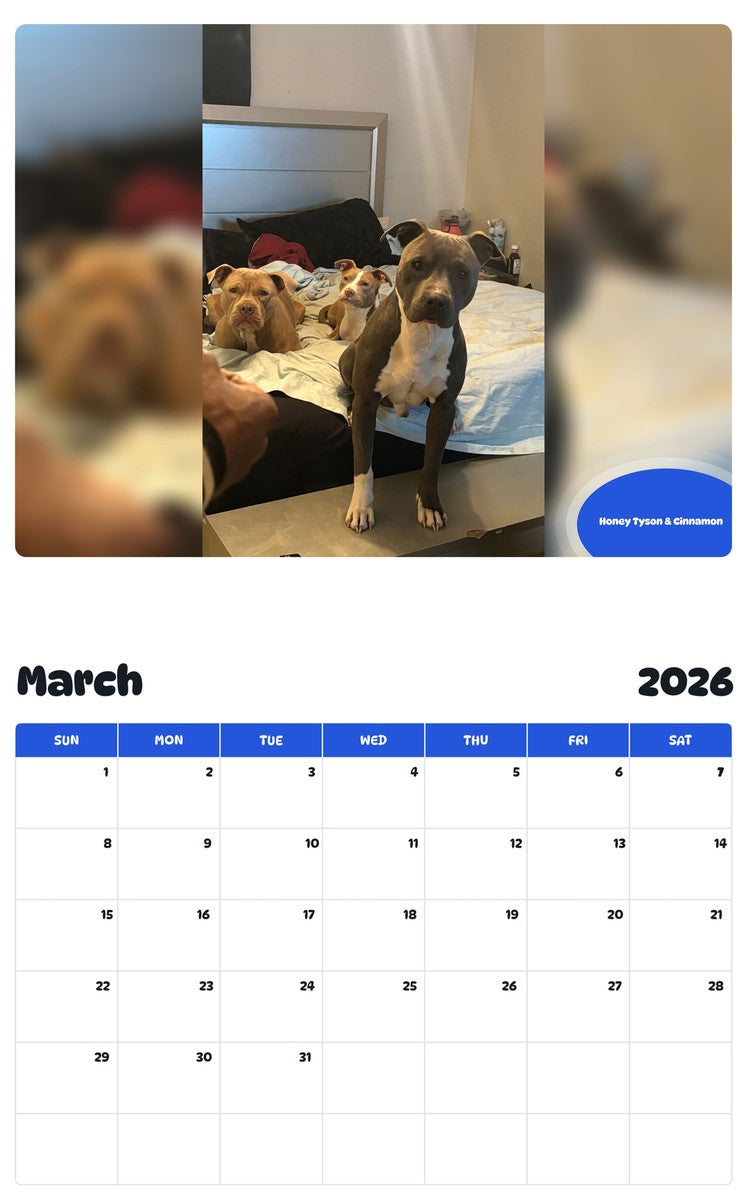 November 2025 - October 2026 Honey Tyson & Cinnamon - Pawidols Pet Calendar