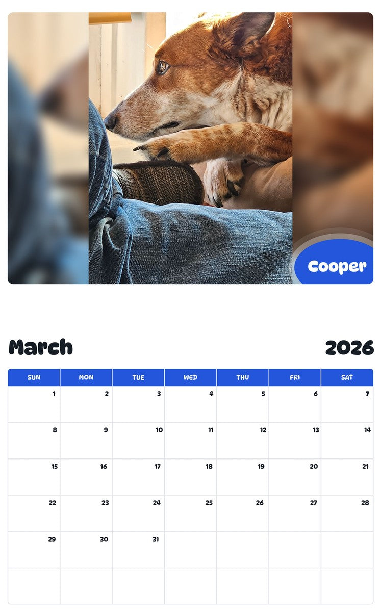 November 2025 - October 2026 Cooper - Pawidols Pet Calendar