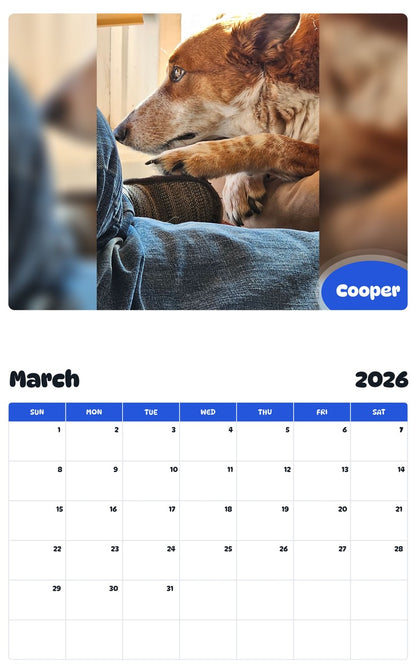 November 2025 - October 2026 Cooper - Pawidols Pet Calendar