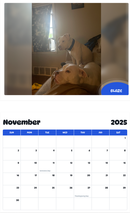 July 2025 - June 2026 Blaze - Pawidols Pet Calendar