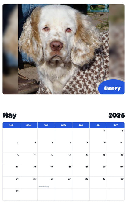 2026 - 2027 Henry - Pawidols Pet Calendar