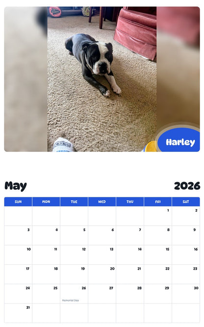 2026 - 2027 Harley - Pawidols Pet Calendar