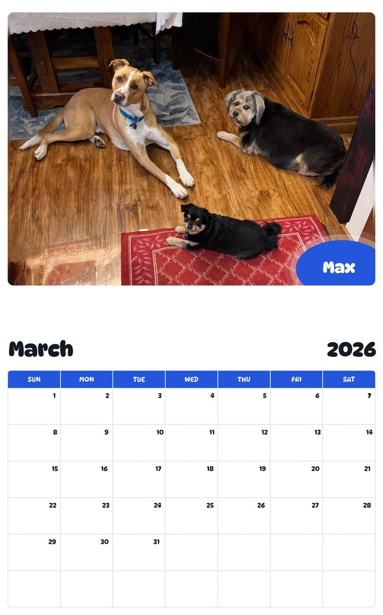 November 2025 - October 2026 Max - Pawidols Pet Calendar