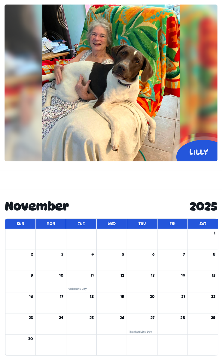 July 2025 - June 2026 Lilly - Pawidols Pet Calendar