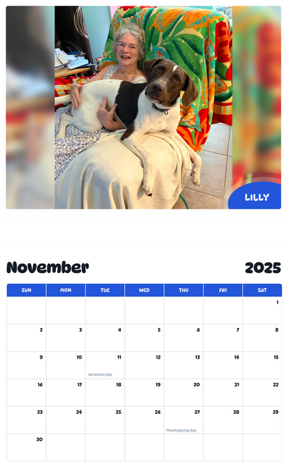 July 2025 - June 2026 Lilly - Pawidols Pet Calendar