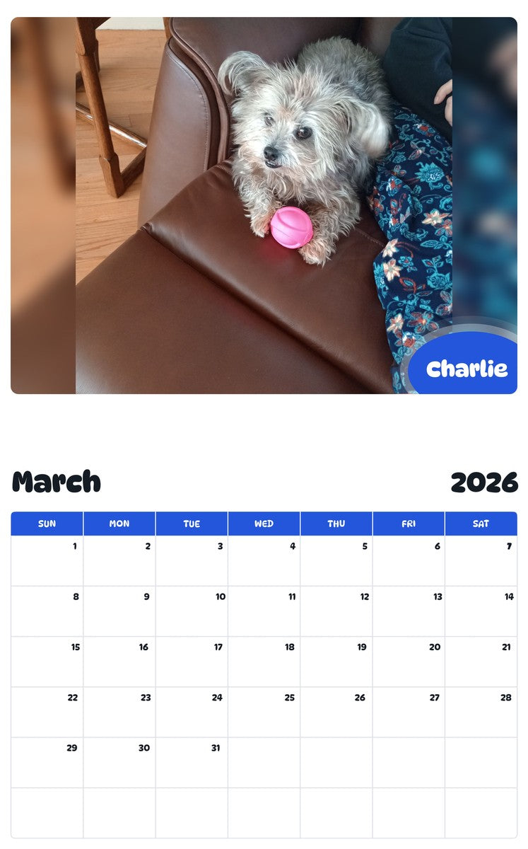 November 2025 - October 2026 Charlie - Pawidols Pet Calendar