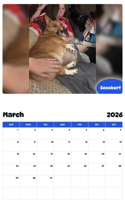 November 2025 - October 2026 Scoobert - Pawidols Pet Calendar