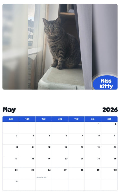 2026 - 2027 Miss Kitty - Pawidols Pet Calendar