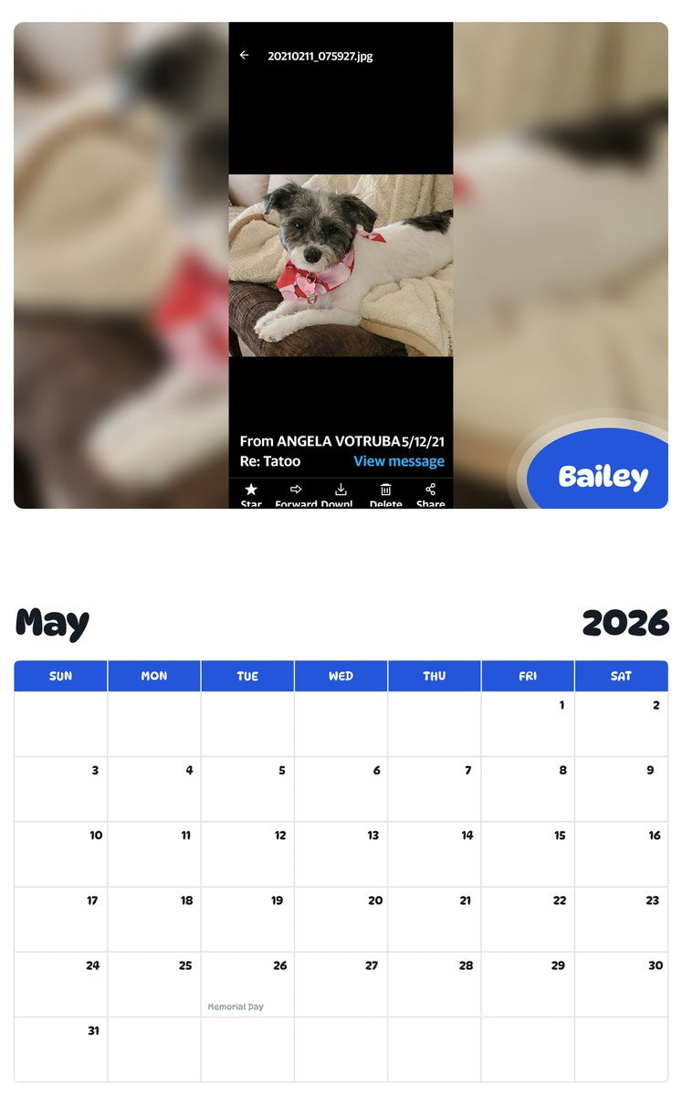 2026 - 2027 Bailey - Pawidols Pet Calendar