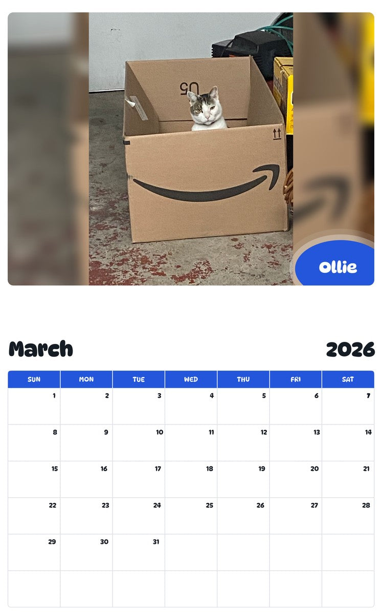 November 2025 - October 2026 Ollie - Pawidols Pet Calendar