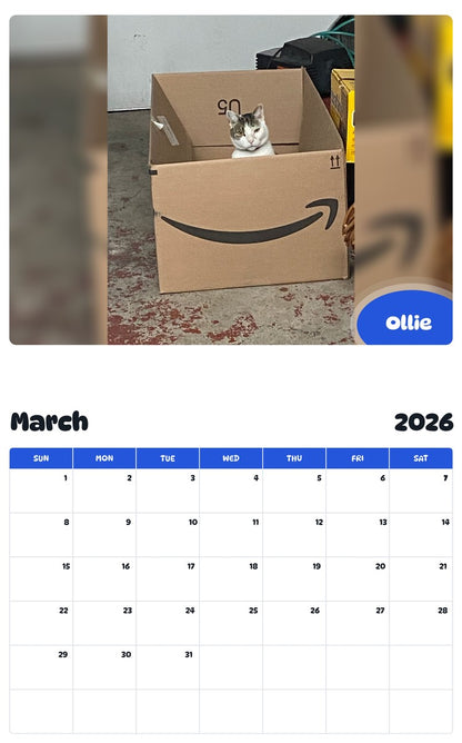 November 2025 - October 2026 Ollie - Pawidols Pet Calendar