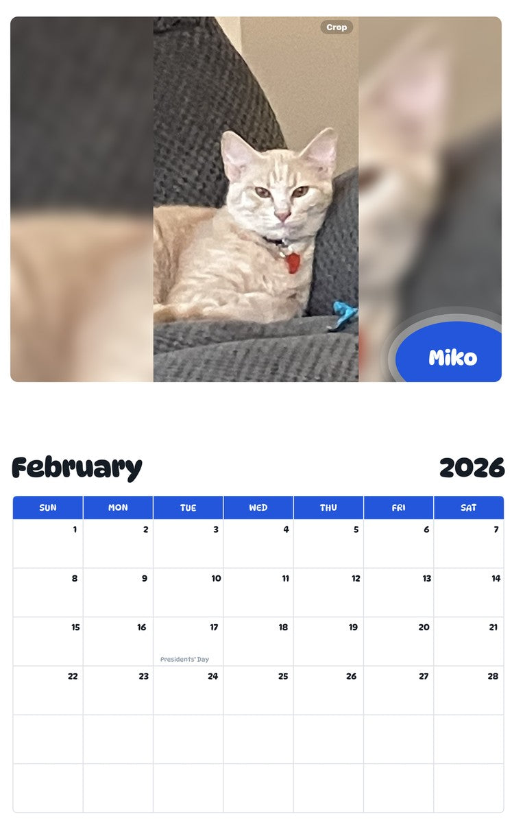 November 2025 - October 2026 Miko - Pawidols Pet Calendar