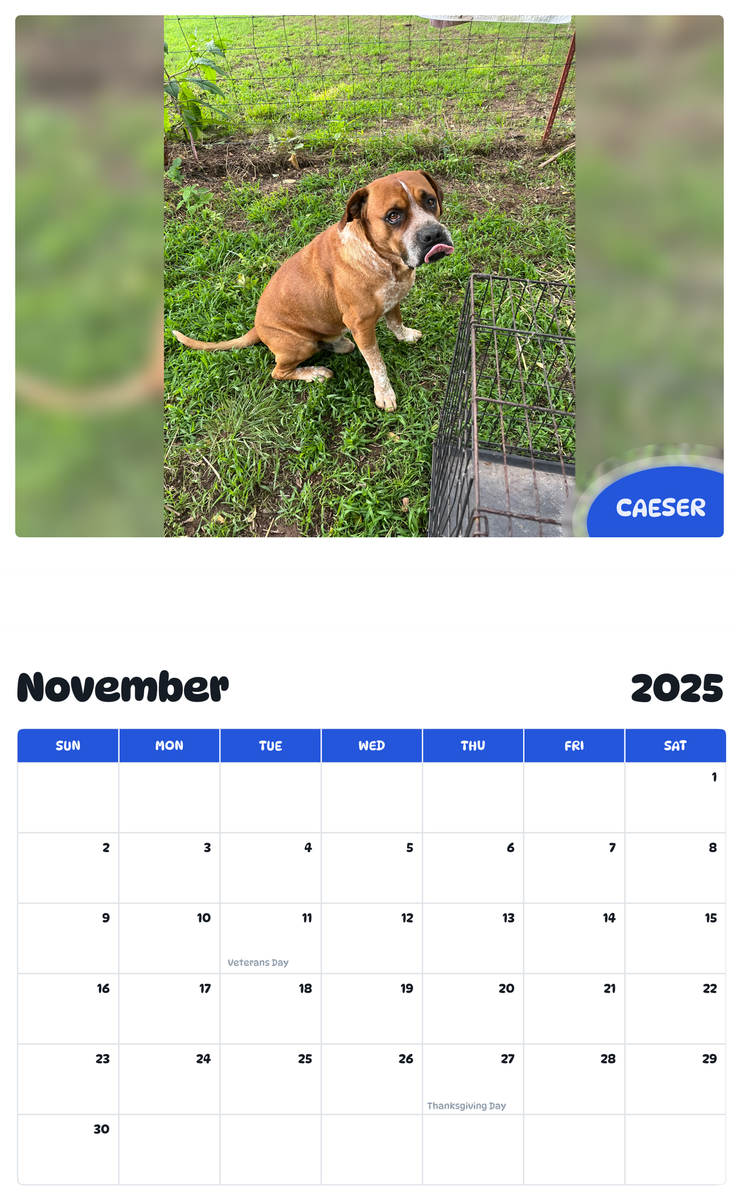 July 2025 - June 2026 Caeser - Pawidols Pet Calendar