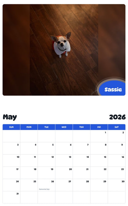 2026 - 2027 Sassie - Pawidols Pet Calendar