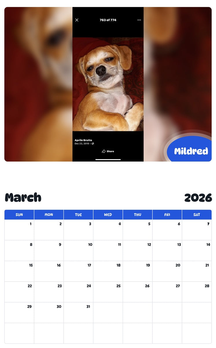 November 2025 - October 2026 Mildred - Pawidols Pet Calendar