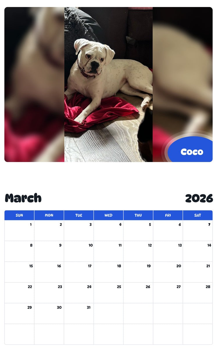 November 2025 - October 2026 Coco - Pawidols Pet Calendar