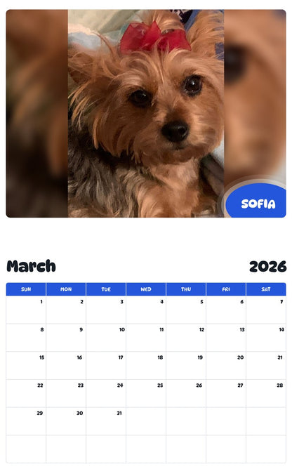 November 2025 - October 2026 SOFIA - Pawidols Pet Calendar