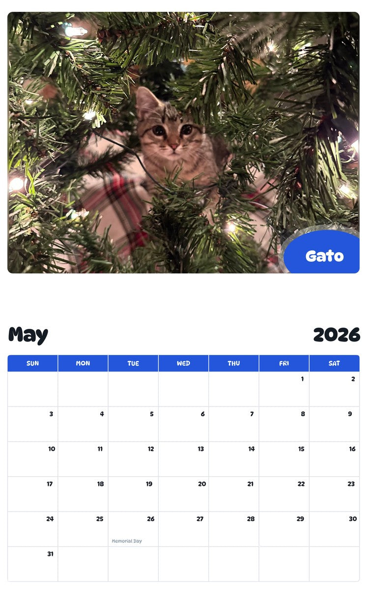 2026 - 2027 Gato - Pawidols Pet Calendar