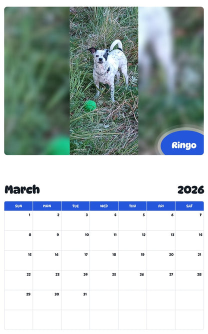 November 2025 - October 2026 Ringo - Pawidols Pet Calendar