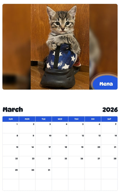 November 2025 - October 2026 Mena - Pawidols Pet Calendar