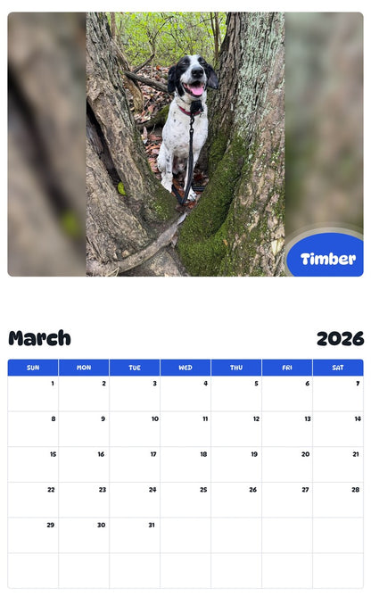 November 2025 - October 2026 Timber - Pawidols Pet Calendar