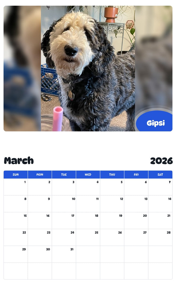 November 2025 - October 2026 Gipsi - Pawidols Pet Calendar